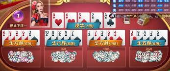 开云·体育（APP下载）官方网站 - KAIYUN APP